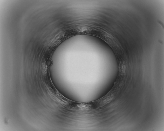 X0000102790558200809021117