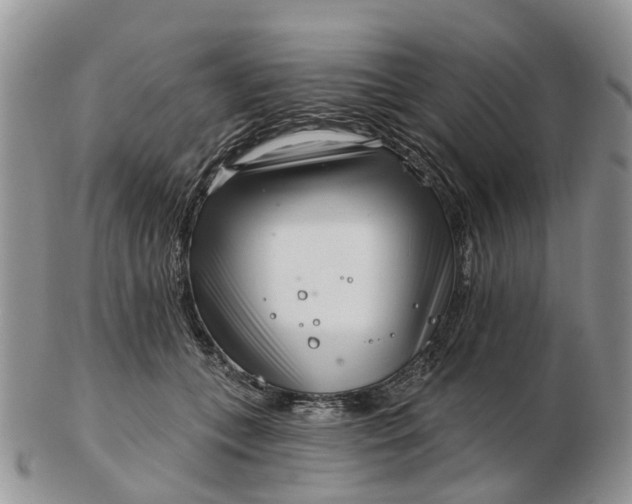 X0000102790559200809021117