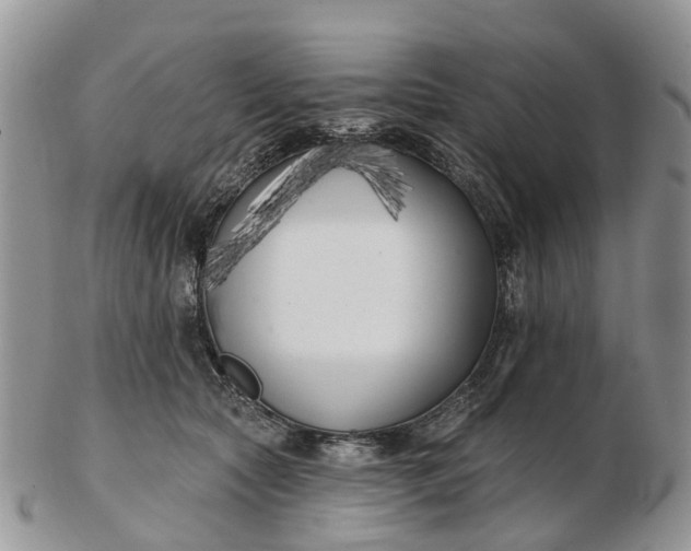 X0000102790561200809021117