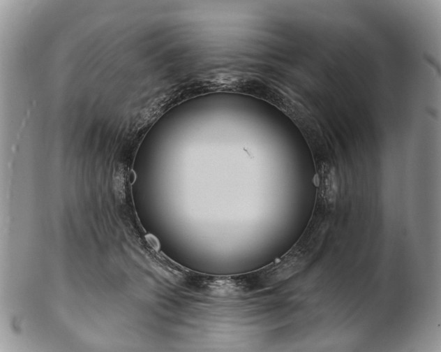 X0000102790562200809021117