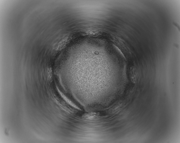 X0000102790563200809021117