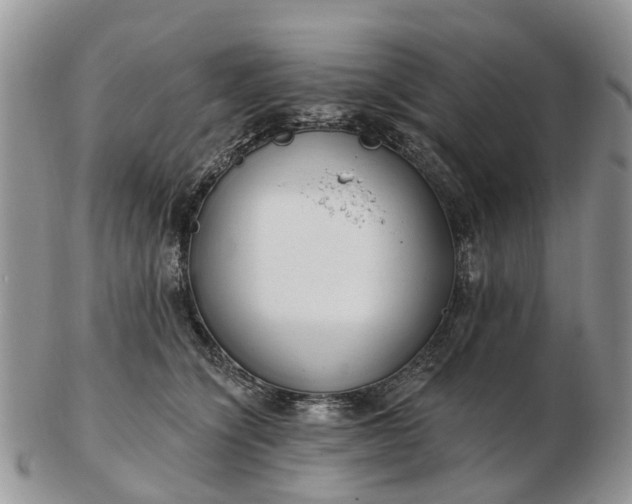 X0000102790564200809021117