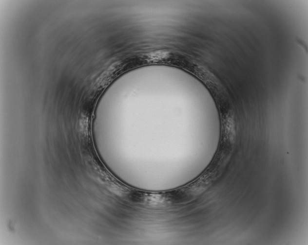 X0000102790565200809021117