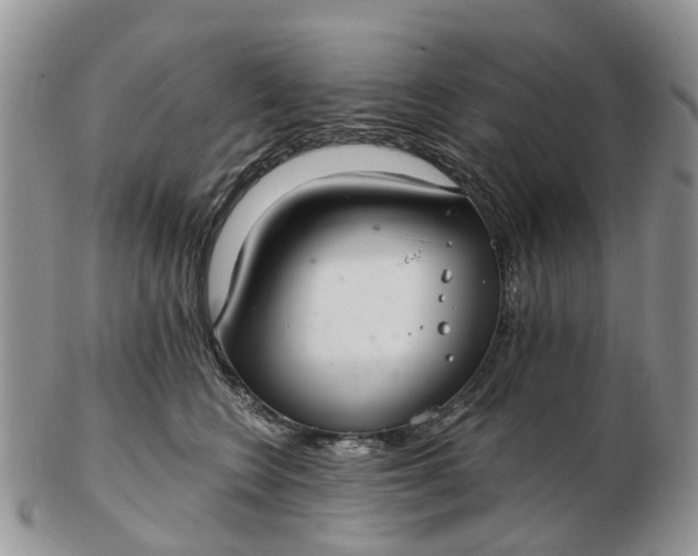 X0000102790566200809021117