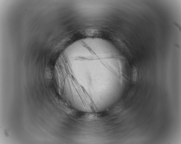 X0000102790569200809021117