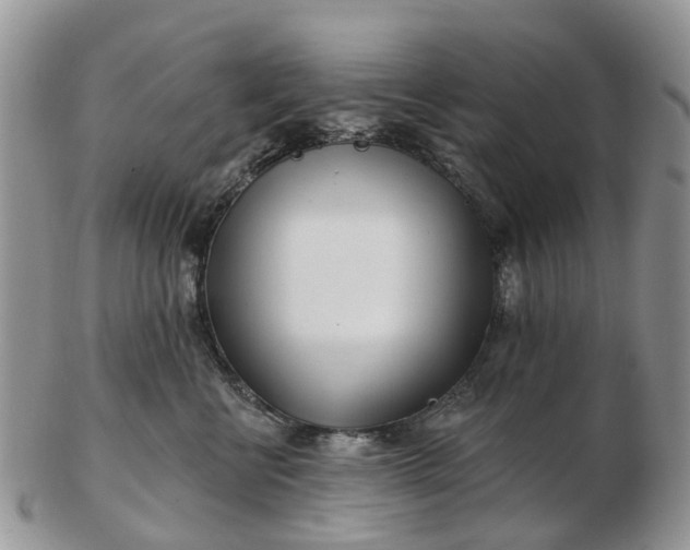 X0000102790570200809021117