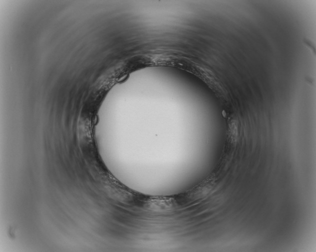 X0000102790571200809021117