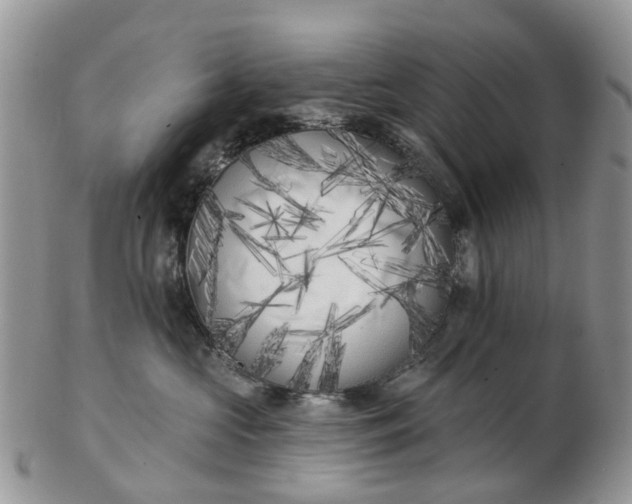 X0000102790573200809021117