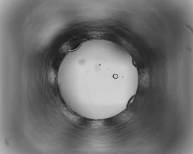 X0000102790574200809021117