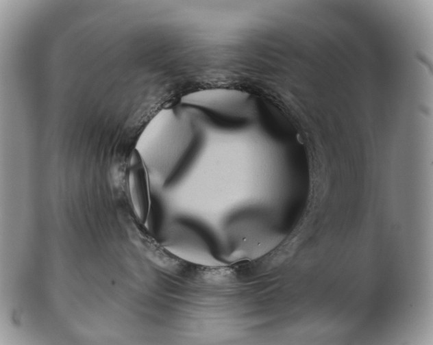 X0000102790576200809021117