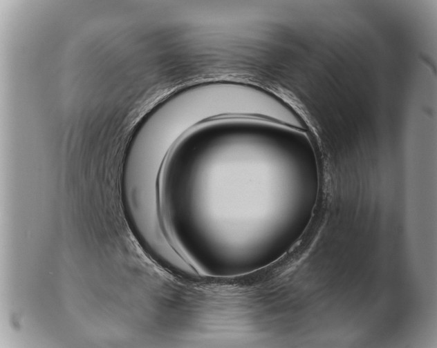 X0000102790577200809021116