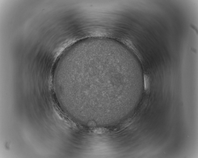 X0000102790579200809021116