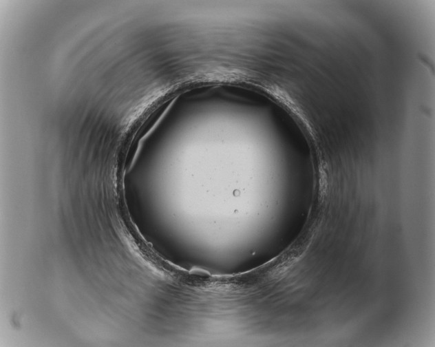 X0000102790581200809021116