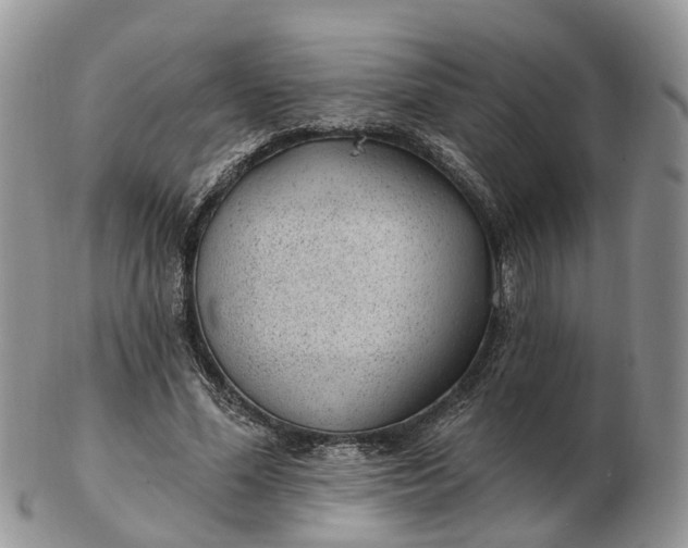 X0000102790588200809021116