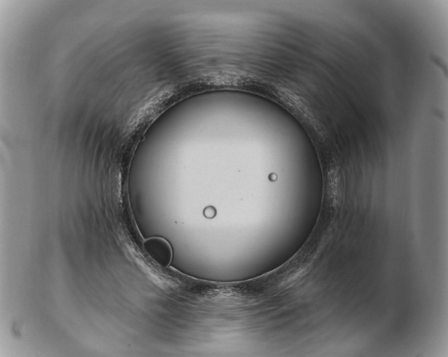 X0000102790589200809021116