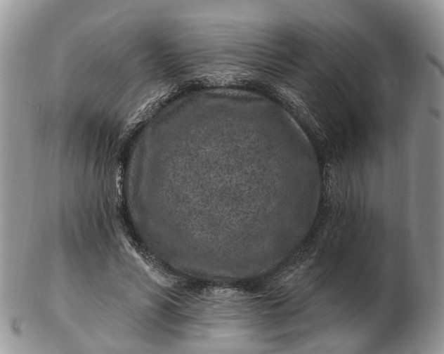 X0000102790590200809021116