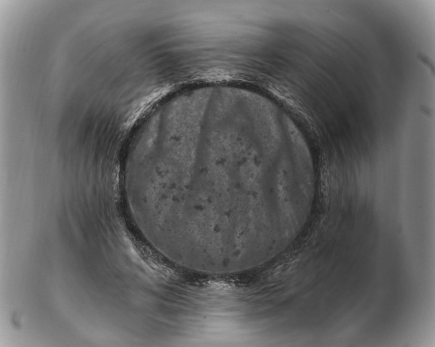 X0000102790592200809021116