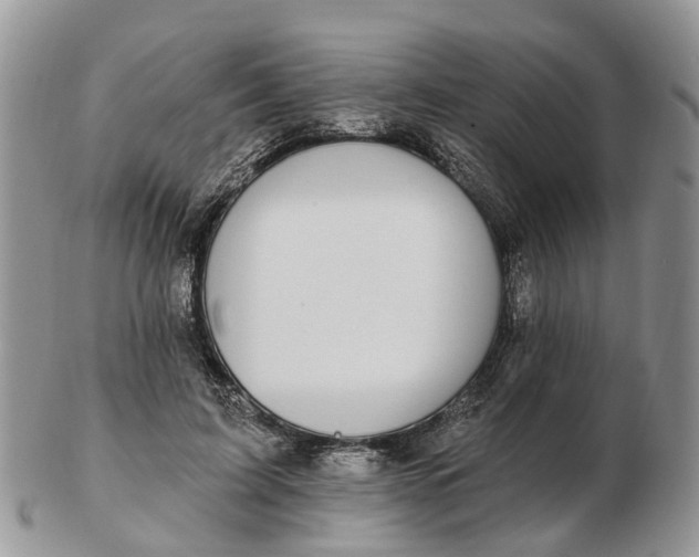 X0000102790595200809021116