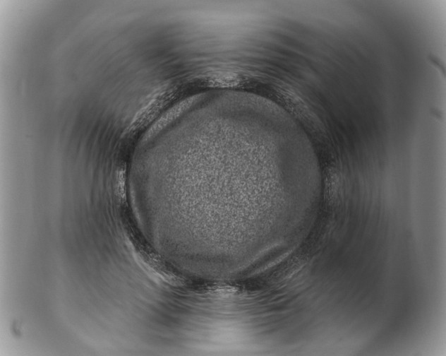 X0000102790598200809021116