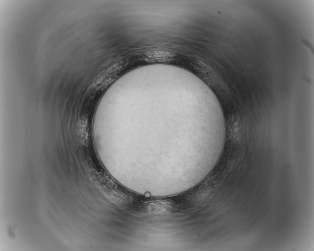 X0000102790599200809021116