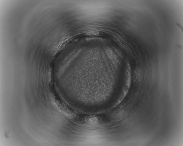 X0000102790600200809021116