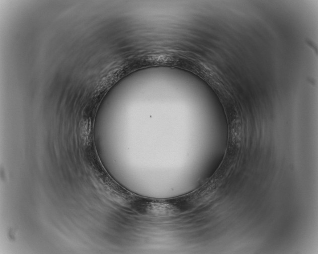 X0000102790605200809021116