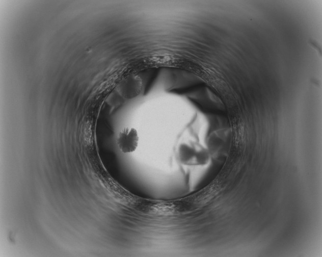 X0000102790606200809021116