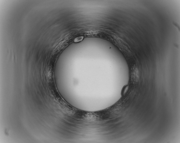 X0000102790608200809021116