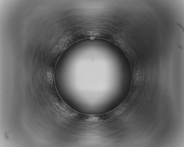 X0000102790609200809021116