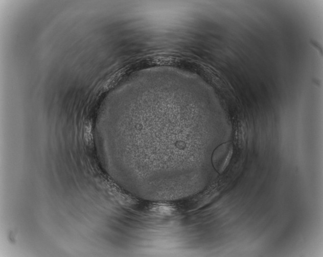 X0000102790610200809021116