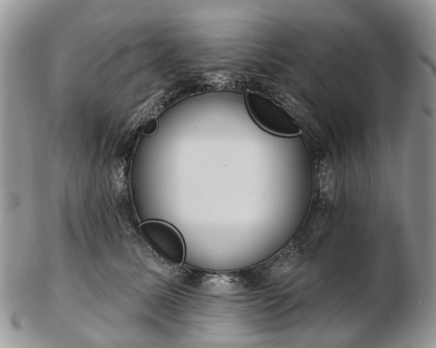 X0000102790611200809021116