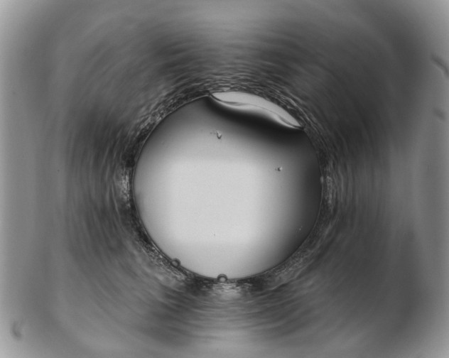 X0000102790613200809021116