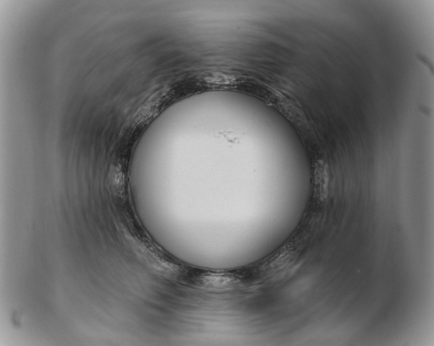 X0000102790614200809021116