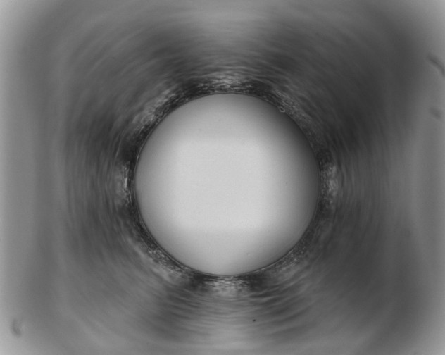 X0000102790615200809021116