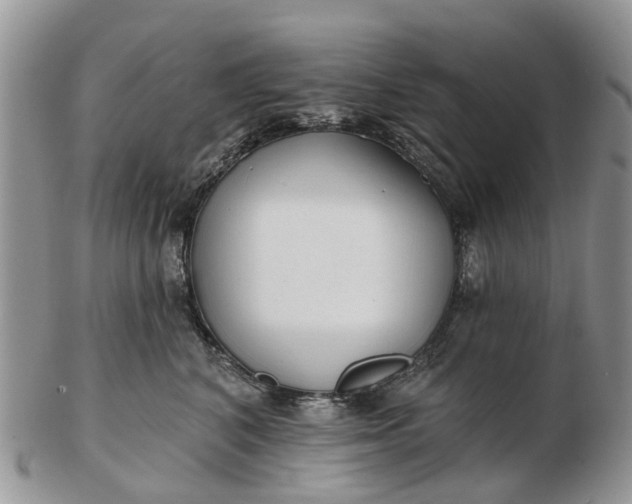 X0000102790616200809021116