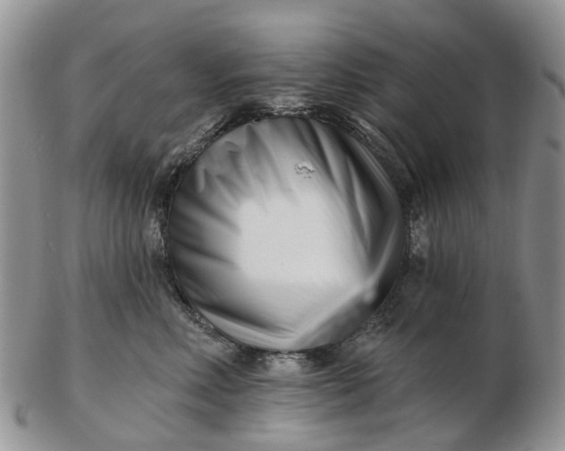 X0000102790618200809021116