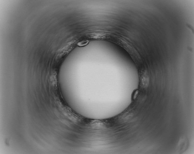 X0000102790620200809021116