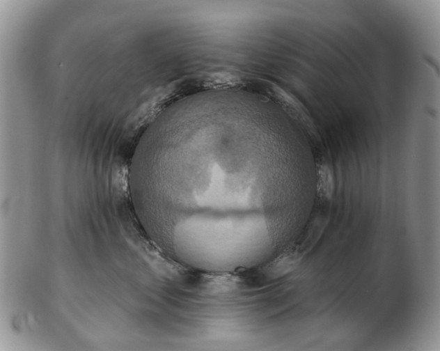 X0000102790621200809021116