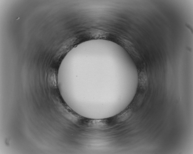 X0000102790622200809021116