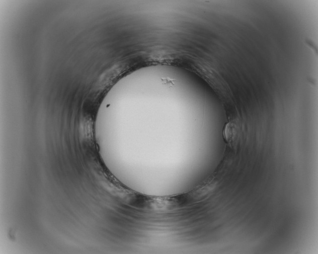 X0000102790623200809021116