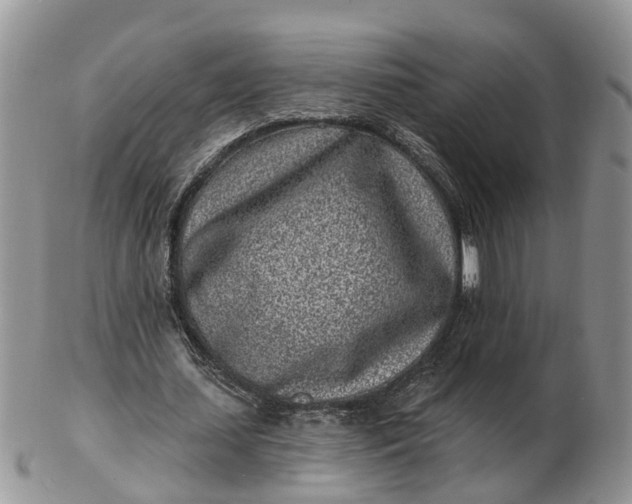 X0000102790627200809021115