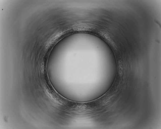 X0000102790631200809021115