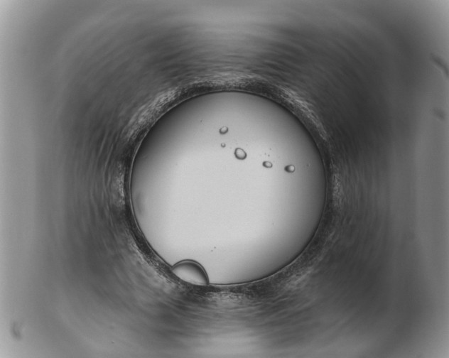 X0000102790633200809021115