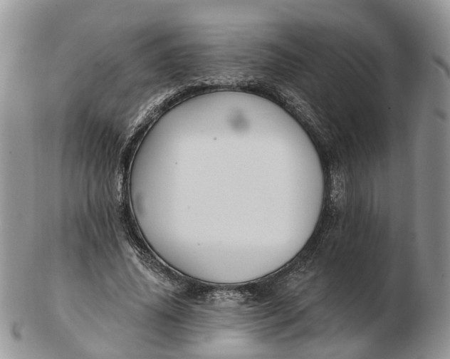 X0000102790636200809021115