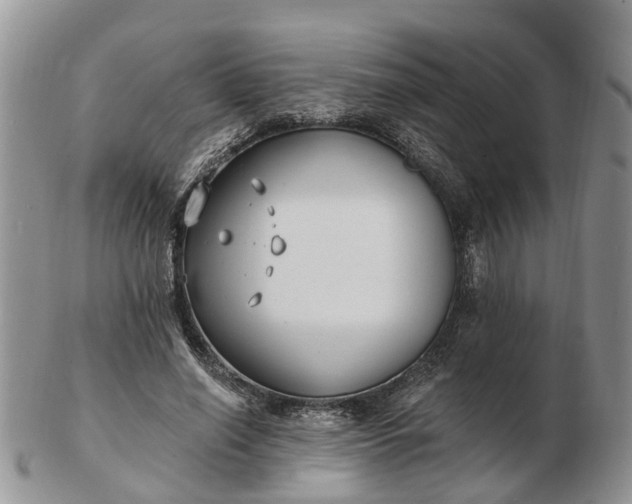 X0000102790638200809021115