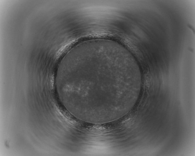 X0000102790640200809021115