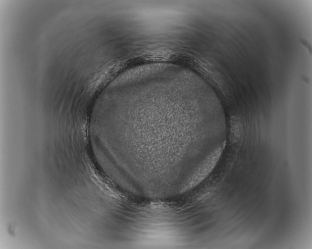 X0000102790641200809021115