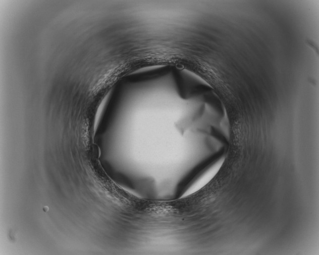 X0000102790642200809021115