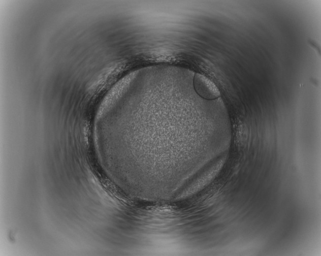 X0000102790643200809021115