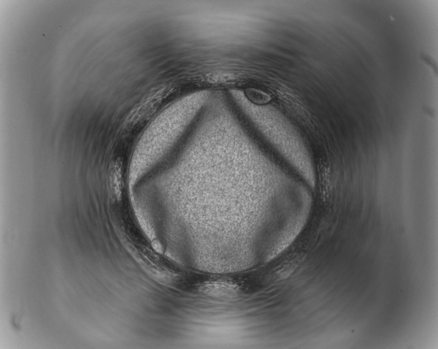 X0000102790644200809021115